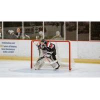 Port Huron Prowlers goaltender Cory Simons