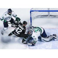 Utah Grizzlies forward Mike Economos (center) vs. the Florida Everblades
