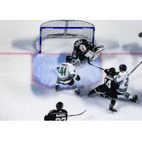 Utah Grizzlies goaltender Brad Barone tries to fend off the Florida Everblades
