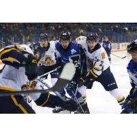 Saint John Sea Dogs left wing James White (center) vs. the Shawinigan Cataractes