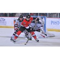 Adirondack Thunder forward Robbie Payne vs. the Brampton Beast