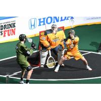 Georgia Swarm goaltender Mike Poulin vs. the Rochester Knighthawks
