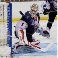 Former Wichita Thunder goaltender Chris Driedger