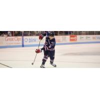 South Carolina Stingrays defenseman Tom Parisi