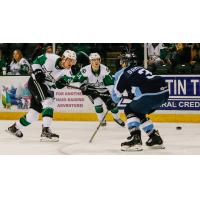 Texas Stars left wing Riley Tufte (left) vs. the Milwaukee Admirals