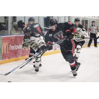Aberdeen Wings vs. the Bismarck Bobcats