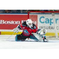 Kelowna Rockets goaltender Roman Basran