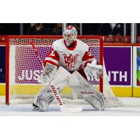 Grand Rapids Griffins goaltender Filip Larsson
