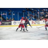 Allen Americans defenseman Jack Sadek