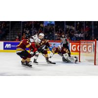 Grand Rapids Griffins vs. the Chicago Wolves