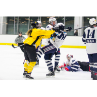Metropolitan Riveters mix it up with the Boston Pride