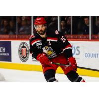 Grand Rapids Griffins forward Eric Tangradi