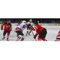 Binghamton Devils vs. the Providence Bruins