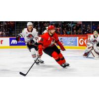 Eric Tangradi of the Grand Rapids Griffins vs. the Rockford IceHogs