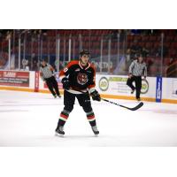 Defenceman Trevor Longo with the Medicine Hat Tigers