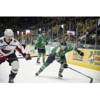 Florida Everblades forward Blake Winiecki (right) vs. the South Carolina Stingrays