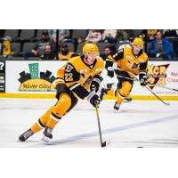 Wheeling Nailers forward Jan Drozg