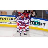 Kitchener Rangers celebrate a goal