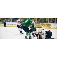 South Carolina Stingrays goaltender Logan Thompson vs. the Florida Everblades