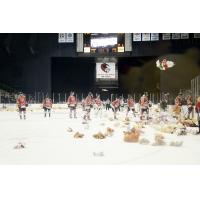 Corpus Christi IceRays Teddy Bear Toss