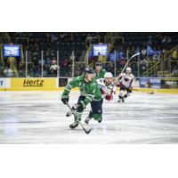 Florida Everblades defenseman Greg Campbell