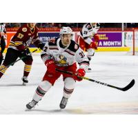 Grand Rapids Griffins forward Tyler Spezia