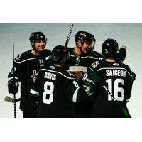 Utah Grizzlies huddle up to celebrate a goal