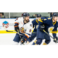 Greenville Swamp Rabbits forward Mason Baptista vs. the Norfolk Admirals