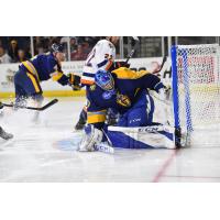 Atlanta Gladiators goaltender Martin Ouellette
