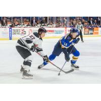 Austin Poganski with the Tulsa Oilers (right)