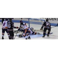 Dan DeSalvo of the South Carolina Stingrays (right) scores against the Orlando Solar Bears