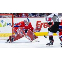 Spokane Chiefs goaltender Lukas Parik