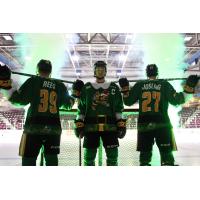 Sarnia Sting Christmas at the Hive jerseys