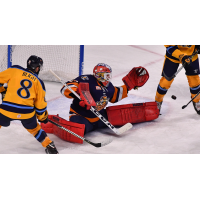 Greenville Swamp Rabbits goaltender Ryan Bednard stops the Atlanta Gladiators