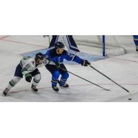 Florida Everblades center Hunter Garlent (left) vs. the Jacksonville Icemen