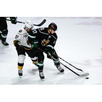 Utah Grizzlies forward Griffen Molino vs. the Newfoundland Growlers