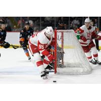 Grand Rapids Griffins right wign Matthew Ford vs. the San Diego Gulls