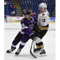 Reading Royals forward Ralph Cuddemi vs. the Newfoundland Growlers