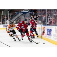 Kalamazoo Wings forward David Pope