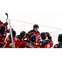 Kitchener Rangers exchange congratulations