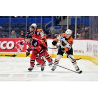 Lehigh Valley Phantoms forward Maksim Sushko (right) vs. the Hartford Wolf Pack