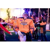Georgia Swarm goaltender Mike Poulin enters the field