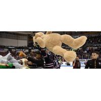 South Carolina Stingrays handle a huge teddy bear on Teddy Bear Toss Night