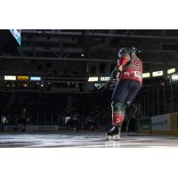 Florida Everblades right wing Justin Auger