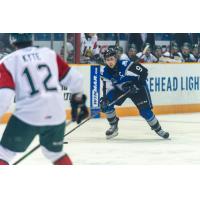 Saint John Sea Dogs centre Nicolas Guay vs. the the Halifax Mooseheads