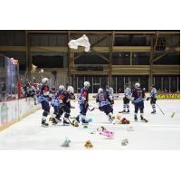 Macon Mayhem Teddy Bear Toss Night