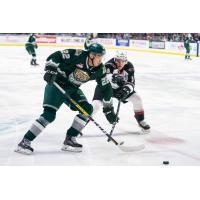 Vancouver Giants defenceman Jacob Gendron (right) tries to poke the puck away from the Everett Silvertips