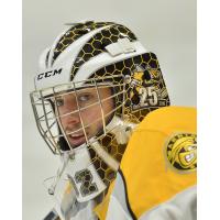 Sarnia Sting goaltender Cameron Lamour