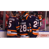 Greenville Swamp Rabbits celebrate a goal