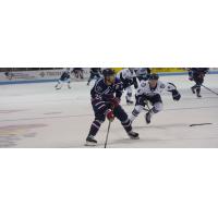 South Carolina Stingrays forward Andrew Cherniwchan vs. the Jacksonville IceMen